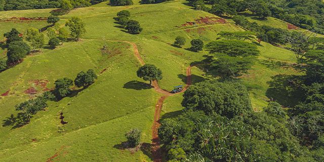 Bel ombre wilderness tour (10)